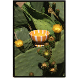 Lido Ceramic Dessert Cup, Apricot & Pink