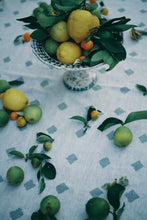Load image into Gallery viewer, ALEX AND TRAHANAS X JARDAN Palazzo tablecloth 142 x 250cm